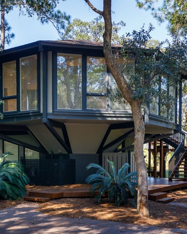 Modern elevated treehouse with black frame and large windows surrounded by tall trees and tropical plants
