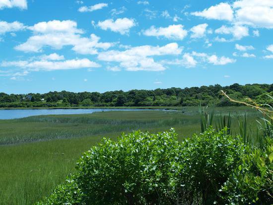 Hilton Head Watersports